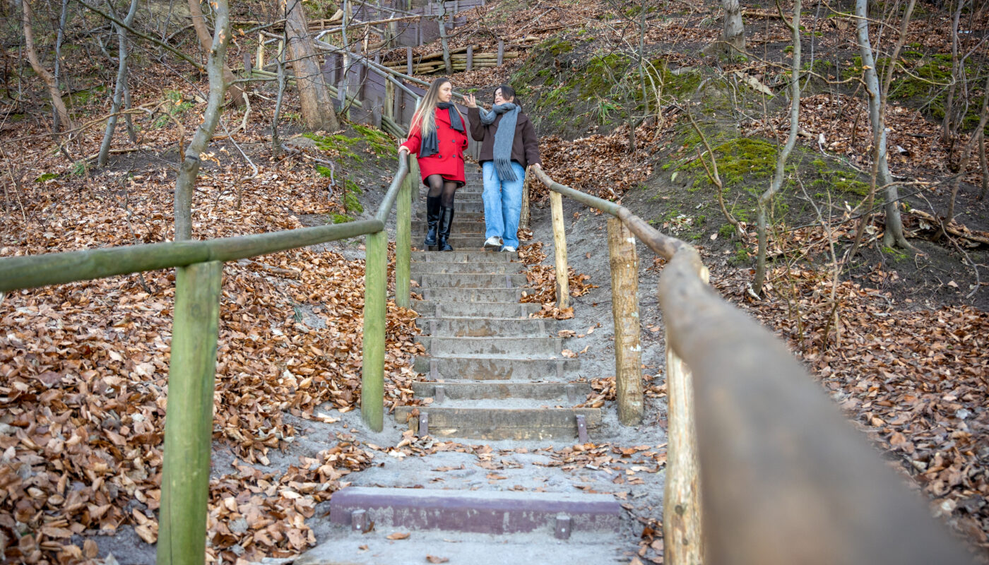https://www.freepik.com/free-photo/two-women-walking-park-forest-two-women-walking-talking-park_417920429.htm#fromView=search&page=2&position=13&uuid=e9bd14c6-01e3-4e81-b871-e382ae60a2ef&query=Via+Ferrata+in+Fjord+Regions%3A+A+Beginner%E2%80%99s+Guide