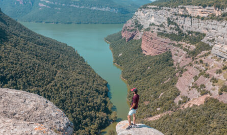 https://www.freepik.com/free-photo/young-male-enjoying-mesmerizing-scenery-morro-de-la-abeja-tavertet-catalonia-spain_19963983.htm#fromView=search&page=1&position=1&uuid=f74d4f5c-61db-41da-b059-e4eb8176c2ad&query=Preikestolen+%28Pulpit+Rock%29%3A+Is+It+Worth+the+Hike%3F