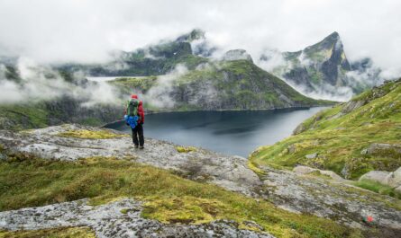 https://www.freepik.com/free-photo/hiker-standing-beside-lake-lofoten-mountains-foggy-day_8753406.htm#fromView=search&page=1&position=0&uuid=228e949a-4968-4caf-962d-36adfa7a00b8&query=The+Best+Fjord+Viewpoints+in+Norway+%28No+Extreme+Hiking+Required%29