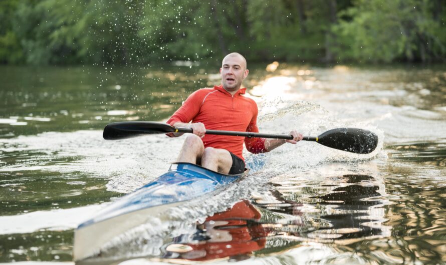 Guided vs Independent Fjord Kayaking: Pros & Cons