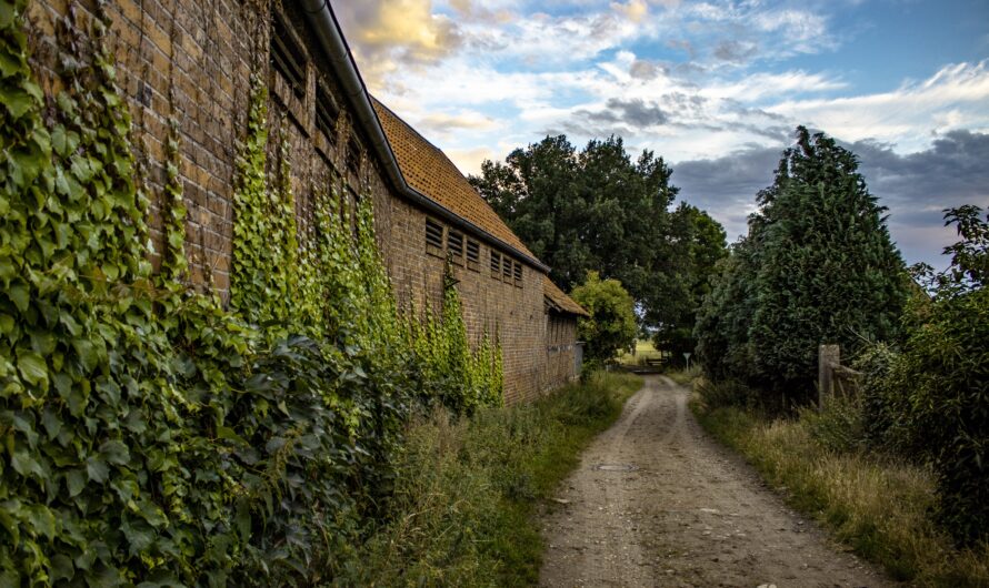 How People Historically Lived and Traveled in Fjord Regions