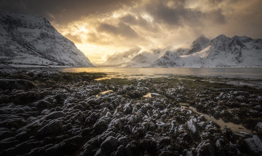 Sunrise vs Sunset in Fjords: Which Is Better?