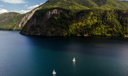 https://www.magnific.com/free-photo/high-angle-shot-boats-sailing-water-with-forested-mountains-distance_14889162.htm#fromView=search&page=1&position=32&uuid=4dfdf4c4-6058-49a6-ac59-d7aa5b95876f&query=The+Future+of+Fjord+Tourism%3A+What%E2%80%99s+Changing%3F
