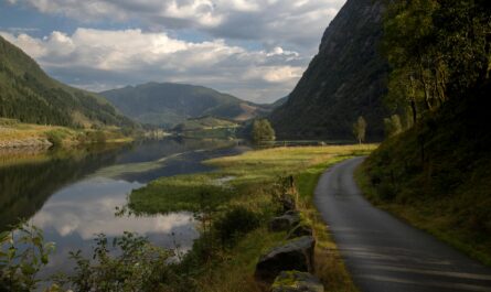 https://www.pexels.com/photo/scenic-road-along-norwegian-fjord-in-summer-34584609/