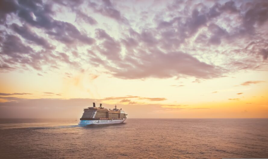 Milford Sound Day Trip vs Overnight Cruise: Which Is Better?