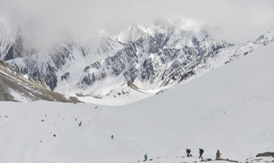 Glacier Hiking Near Fjords: What to Expect