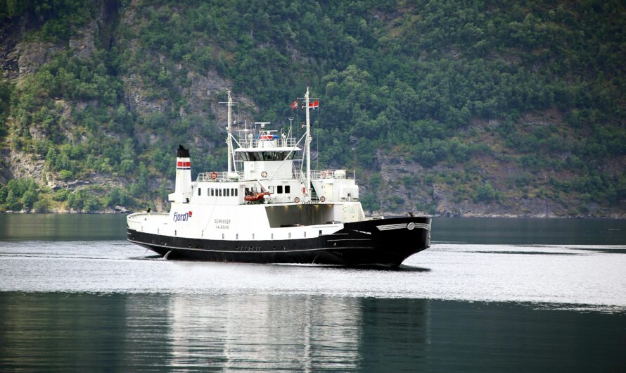 Best Budget Boat Trips in Fjord Regions