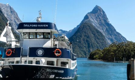 https://www.pexels.com/photo/cruise-milford-sound-new-zealand-17431555/