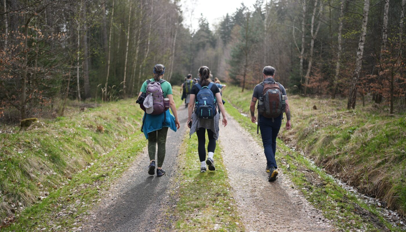 https://www.pexels.com/photo/women-and-men-hiking-in-forest-20854817/