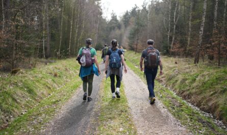 https://www.pexels.com/photo/women-and-men-hiking-in-forest-20854817/