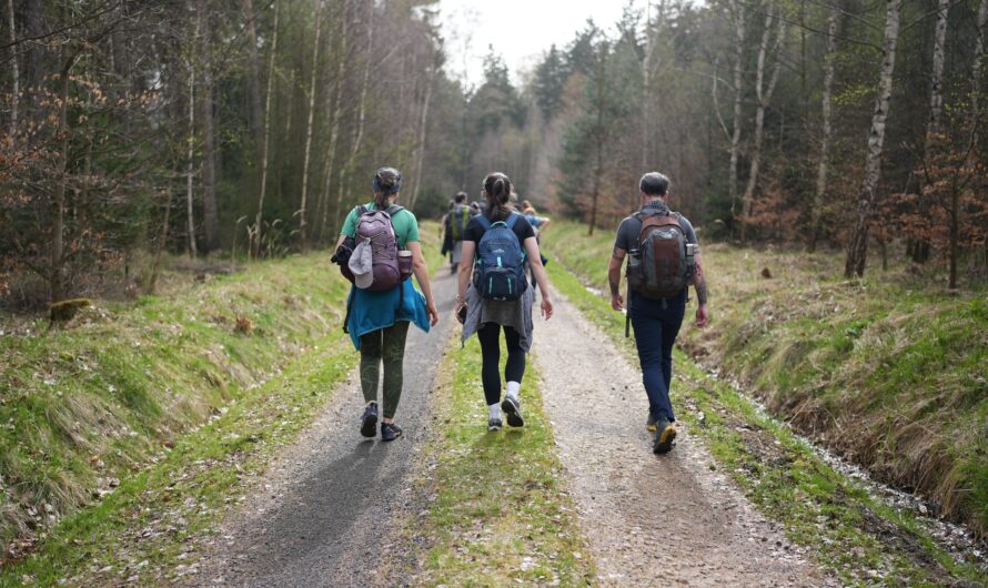 What to Pack for a Fjord Trip (All Seasons)