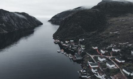 https://www.pexels.com/photo/aerial-view-of-village-on-fjord-shore-17491766/