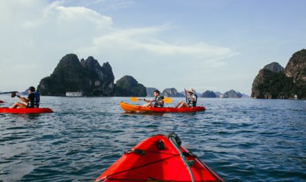 https://www.pexels.com/photo/people-kayaking-on-the-sea-5531585/