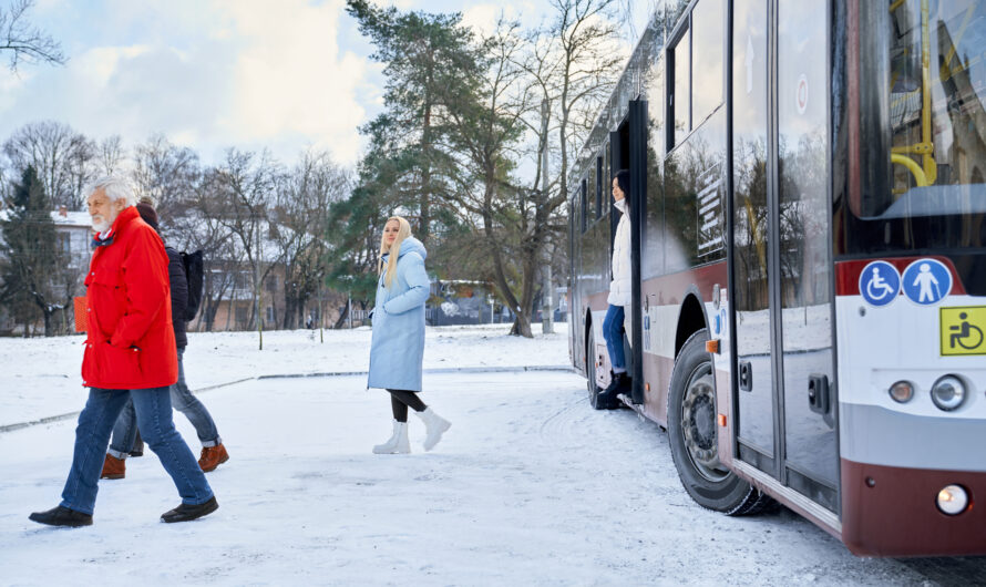 Car vs Public Transport in Fjord Regions: What’s Better?