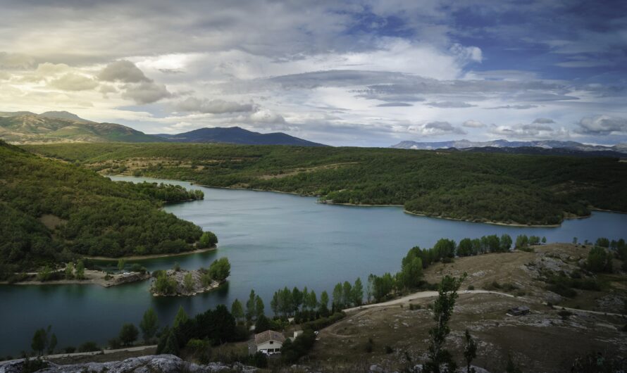 Why Fjords Look So Unreal: The Geography That Creates the Magic