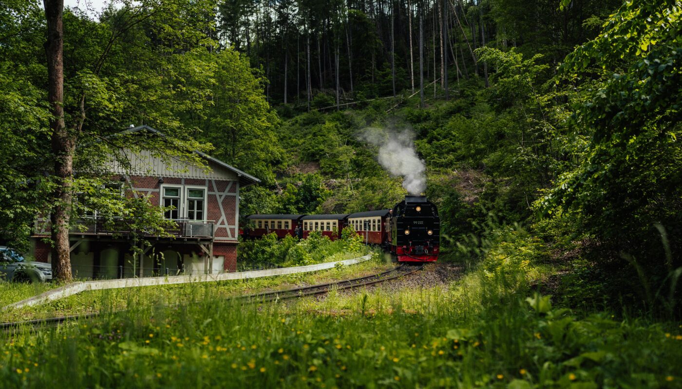 https://www.pexels.com/photo/an-old-train-traveling-through-the-village-25696653/