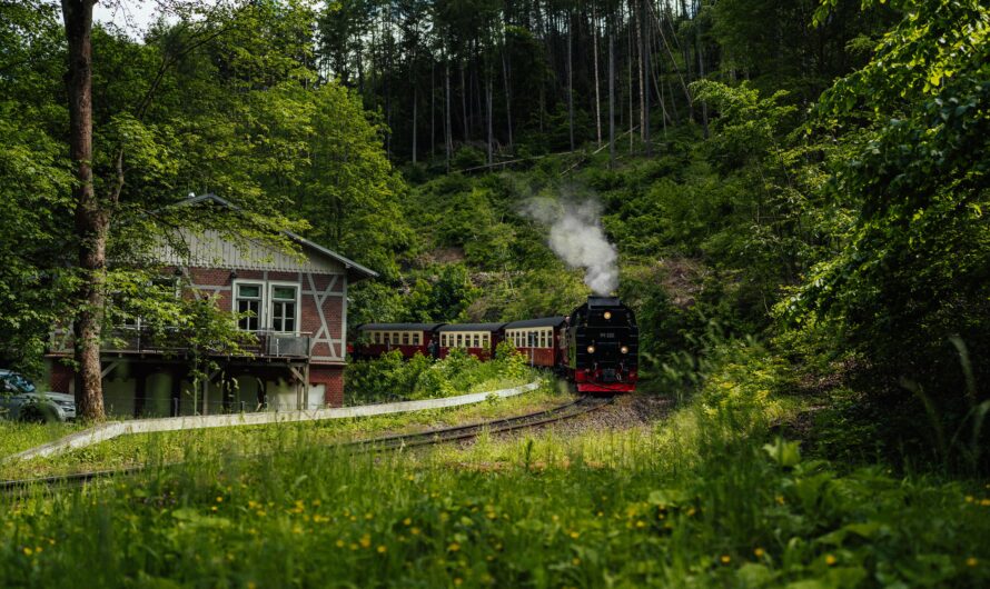 The Flåm Railway: Why It’s One of the World’s Most Beautiful Train Rides