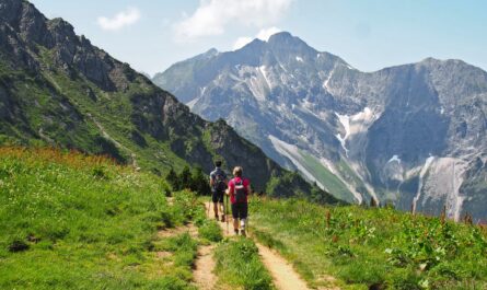 https://pixabay.com/photos/hike-mountains-landscape-alps-9718263/