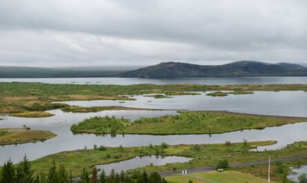 https://www.magnific.com/free-photo/high-angle-shot-beautiful-landscape-thingvellir-iceland-storm-clouds_10186427.htm#fromView=search&page=1&position=18&uuid=cb9cb0c4-5164-44e6-b318-2d499970ce1d&track=ais_hybrid&query=Are+Fjords+Freshwater+or+Saltwater%3F+Explained+Simply