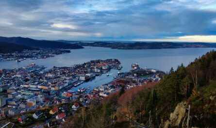 https://www.magnific.com/free-photo/aerial-shot-peninsula-city-bergen-norway-cloudy-sky_13554772.htm#fromView=search&page=1&position=20&uuid=a92c1aef-bcff-4a23-98d9-4d2053ee98cf&track=ais_hybrid&query=How+Crowded+Do+the+Norwegian+Fjords+Get+in+Peak+Season%3F