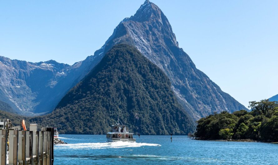 Milford Sound Cruise: What Makes It So Special
